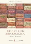 Bricks and Brickmaking cover