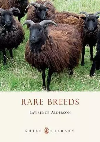 Rare Breeds cover