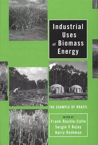 Industrial Uses of Biomass Energy cover