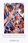 Multicultural American Literature cover
