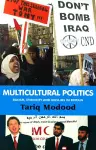 Multicultural Politics cover