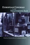 European Cinemas in the Television Age cover