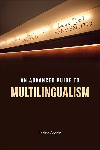 An Advanced Guide to Multilingualism cover