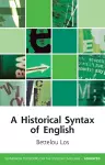 A Historical Syntax of English cover