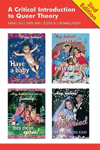 A Critical Introduction to Queer Theory cover