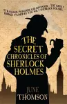 The Secret Chronicles of Sherlock Holmes cover
