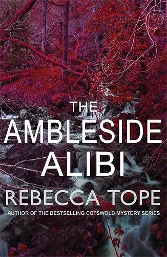 The Ambleside Alibi cover