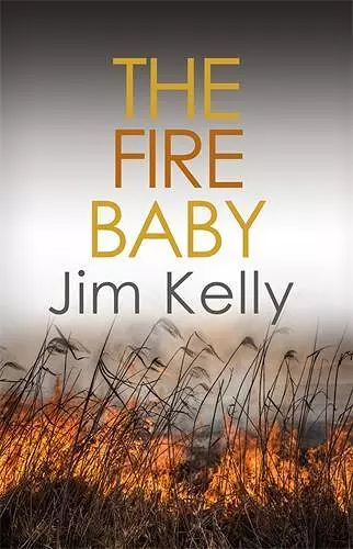 The Fire Baby cover