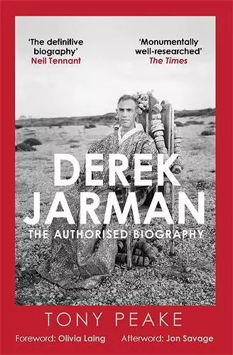 Derek Jarman: The Authorised Biography cover