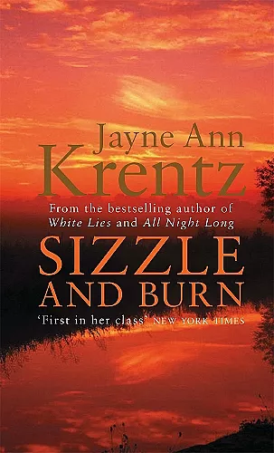 Sizzle And Burn cover