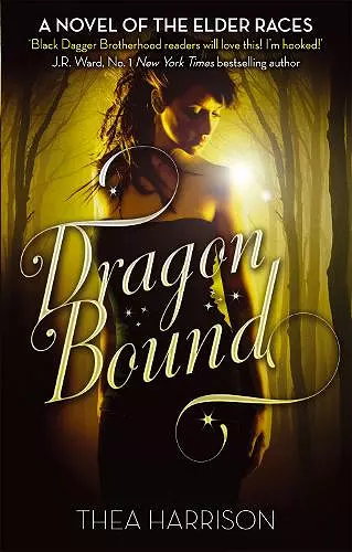 Dragon Bound cover