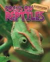 Classification: Focus on: Reptiles cover