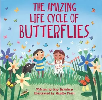 Look and Wonder: The Amazing Life Cycle of Butterflies cover