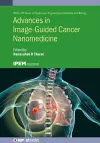 Advances in Image-Guided Cancer Nanomedicine cover