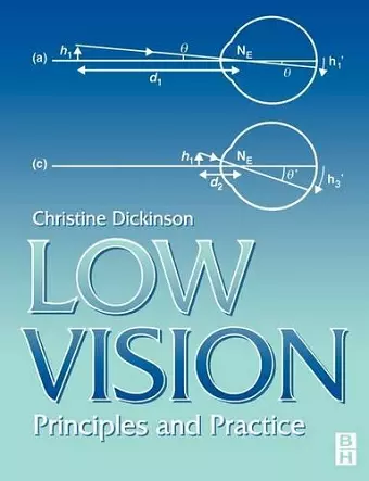 Low Vision cover