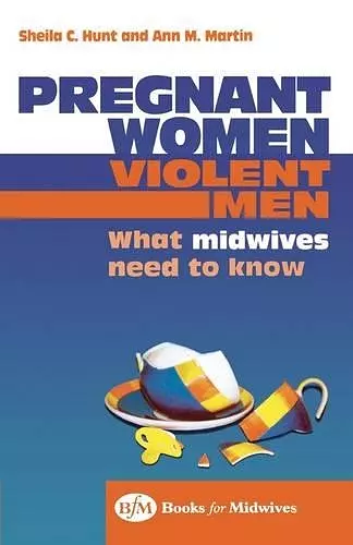 Pregnant Women, Violent Men cover