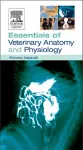 Essentials of Veterinary Anatomy & Physiology cover