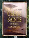 Celtic Saints in Their Landscape cover