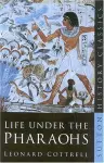 Life Under the Pharoahs cover