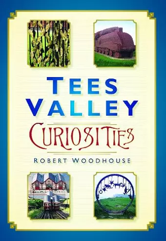 Tees Valley Curiosities cover