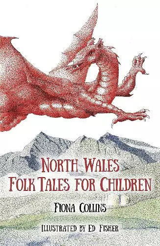 North Wales Folk Tales for Children cover