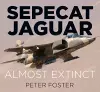 Sepecat Jaguar cover