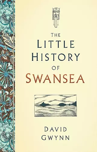 The Little History of Swansea cover