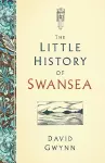 The Little History of Swansea cover