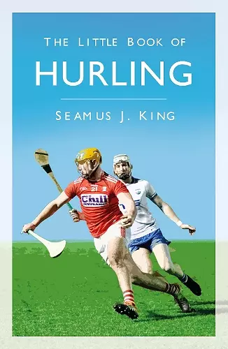 The Little Book of Hurling cover