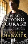 A Place Beyond Courage cover