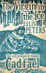 The Virgin In The Ice cover