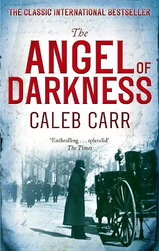 The Angel Of Darkness cover