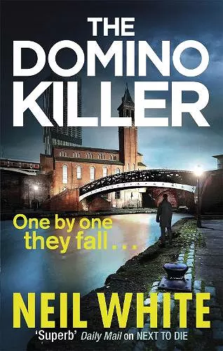 The Domino Killer cover