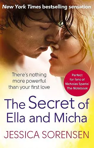 The Secret of Ella and Micha cover