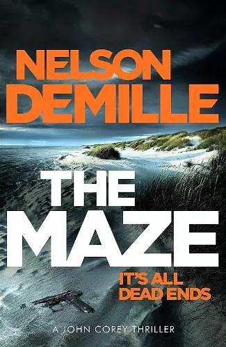 The Maze cover