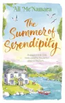 The Summer of Serendipity cover