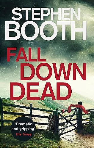 Fall Down Dead cover