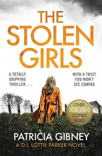 The Stolen Girls cover