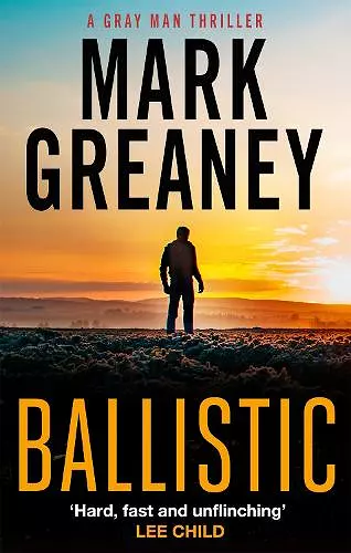 Ballistic cover