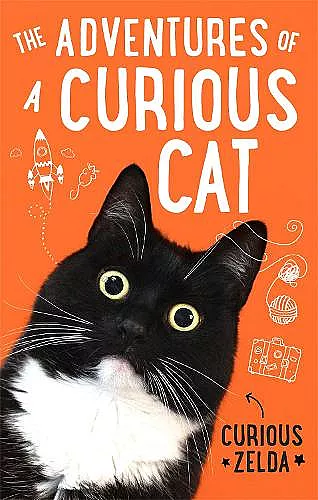 The Adventures of a Curious Cat cover