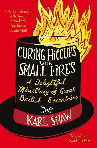 Curing Hiccups with Small Fires cover