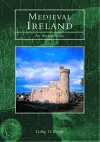 Medieval Ireland cover