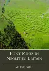 Neolithic Flint Mines in Britain cover