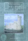 Medieval Ireland cover