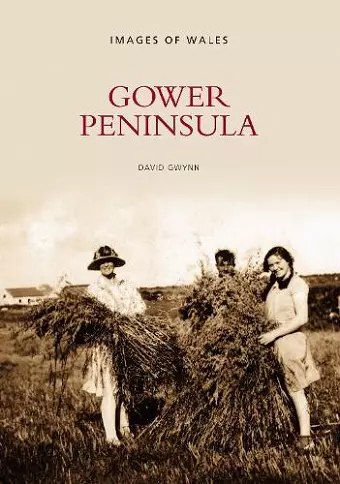 Gower Peninsula cover