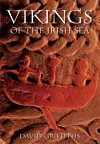 Vikings of the Irish Sea cover