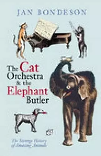 Cat Orchestra and the Elephant Butler cover