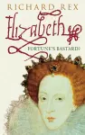 Elizabeth I cover