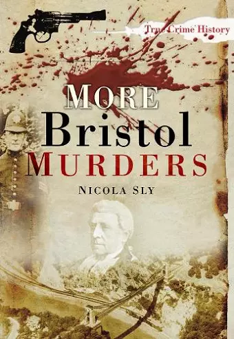 More Bristol Murders cover