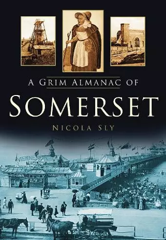 A Grim Almanac of Somerset cover